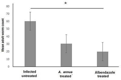 A potential herbal therapeutic for trichinellosis